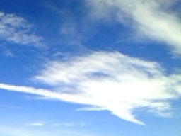 Webinar: Himmel IST - bist du bereit ?
