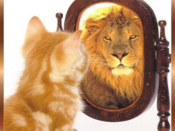 Webinar: Einzelcoaching:Mehr Mut zum Ich: Sei du selbst und lebe glücklicher 1Std.