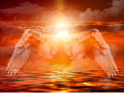 Elohim-Lichtkreis für 24 Stunden - intensiv