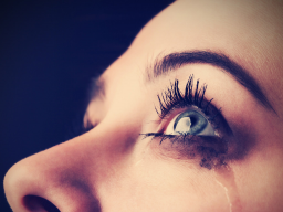 Webinar: TRANSFORMATION DER CHRONISCHEN INNEREN WUNDE & DES GEBROCHENEN ❤s