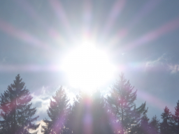 Webinar: Pranaheilung und das kristalline Licht vom Sirius