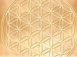 Webinar: Klärende Einzelberatung *Flower of Life*