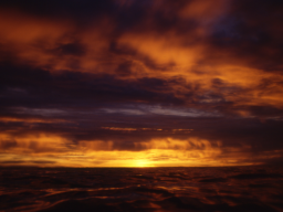 Webinar: Abendmeditation