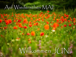 Webinar: WAS DIR DER MONATS-SHIFT MAI//JUNI BRINGEN KANN - AUFFORDERUNG ZUR KLARHEIT & VorWÄRTSkRAFT