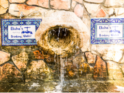 Webinar: SALT-HEALING-ROOM mit ELISHA´S PROPHETISCHEM KLÄRUNGS-WASSER