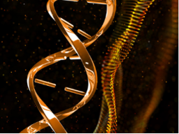 Webinar: Coaching/Ausbildung: ESSENTIELLE DNA-SCHUTZSCHILD-AKTIVIERUNG - Ferneinweihung