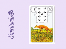 Webinar: ૐ 14 DER FUCHS ૐ Themenreihe: Meine spirituelle Reise durch das Lenormand- Karten-Deck!