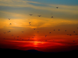 INITIATION/EINWEIHUNG: 16 ZEITLINIEN-AKTIVIERUNGEN: MEISTER DER ERBAUER-RASSE & SONDER-TORE - nach Natara