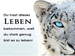 Webinar: MACH DEIN DING! - VIDEO