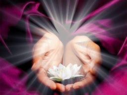 Webinar: Healing Flushes Level 1 bis 6** 3 Ferneinweihungen