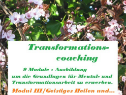 Webinar: Ausbildung - Mental- und Transformationscoach zur Blockadenlösung- /Modul III Geistiges Heilen und die Kraft der Gedanken
