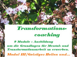 Webinar: Ausbildung - Mental- und Transformationscoach zur Blockadenlösung-  /Modul III Geistiges Heilen und die Kraft der Gedanken