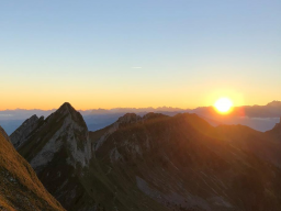 Webinar: Einzelsitzung: alleingeborener Zwilling