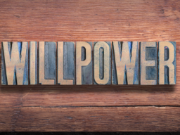 ***NEU*** - Battlewilled Light Circuit (Willenskraft höchsten Ausmaßes! Stark!) - Fernausbildung!