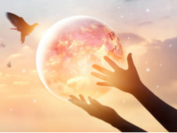 Webinar: Touch for Health -Gesund durch Berühren-