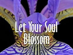 Webinar: KOMBI-SESSION: SACRED-SOUL-SCANNING MIT TIEFEN-TRANSFORMATION