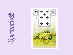 Webinar: ૐ 23 DIE MÄUSE ૐ Themenreihe: Meine spirituelle Reise durch das Lenormand- Karten-Deck!