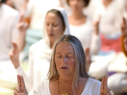 Webinar: Meditation: UNSERE WURZELN IM SEIN - Präsent sein, klar & stabil