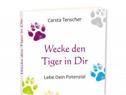 Webinar: Info:Wecke den Tiger in Dir! Ab Sommer im Buchhandel mit dem Reichel Verlag!
