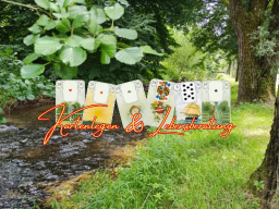 Webinar: 30 min Kartenlegen & Life-Coaching mit ❤