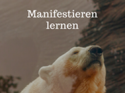 Manifestieren lernen - Wie du deine Wünsche bewusst in dein Leben ziehst