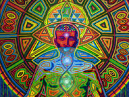 Webinar: *Shing-Chi Chakren 8-13 + 3 Einweihungen