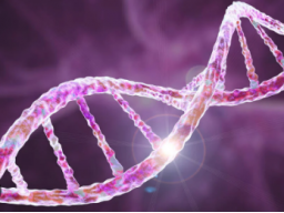 Webinar: Ausbildung/Coaching: 12 Strang DNA Aktivierung - Ferneinweihung!