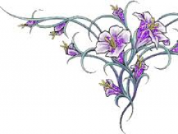 Webinar: Die alte Heilkunst --Besprechen--