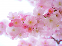 Geführte Körper- Heilreise mit Übertragung von liebevollen Heilenergien und Liebesschwingungen von meinem Höheren Selbst, ONLINE