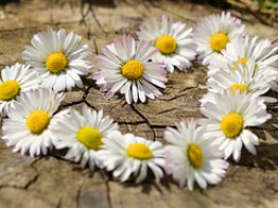 Webinar: HAPPY VALENTINE ♡♡♡ die Liebe feiern