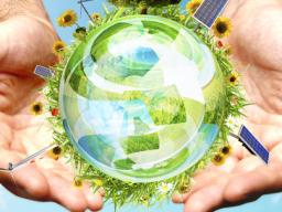 Webinar: Fernkurs*Ätherische Akupunktur + Einweihung
