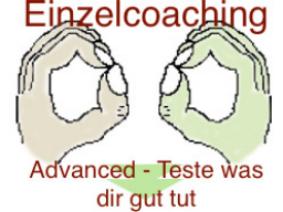 Webinar: Einzelcoaching Teste was dir gut tut-Muskelselbsttest Advanced 2 Stunden