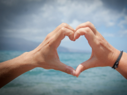 Webinar: Field of Love Meditation