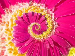 Webinar: Spirituelle - Hygiene und Reinigung