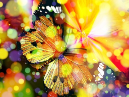 Webinar: NEU**45 min. Klärung und Transformation deines Schmerzkörpers*