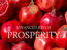 Webinar: ADVANCED MEDITATION 2.3. Prosperity (d | en)