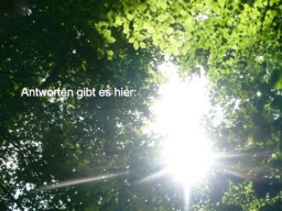 Webinar: (ENGEL) Antworten gibt es hier...