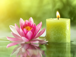 Webinar: Kundalini Reiki 3Grad Meistergrad Einweihung