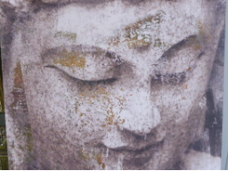 Webinar: Mit dem Buddha in die vollkommene Balance