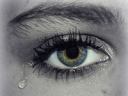 Webinar: Der Umgang mit der Trauer und den seelischem Schmerz