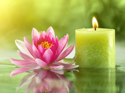 Webinar: *NEU*Rejuvenation Regenerations Reiki*