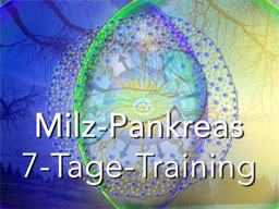Webinar: Milz-Pankreas 7-Tage-Training