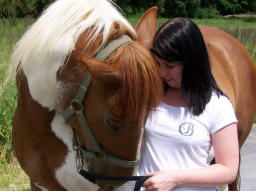 Webinar: Werde ganzheilticher Tierheiler-Ausbildung ƸӜƷ VIDEOS