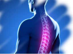 Webinar: Gruppen-Heil-Behandlungen für Menschen mit Rücken - und Gelenkproblemen.