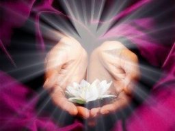 Webinar: AMETHYST Essenz Audio Einweihung