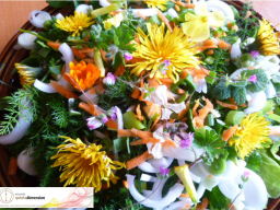 Webinar: DE LA NATURALEZA A LA MESA
