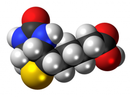 Energiesystem/Initiation: Biotin Energie 999 - Ätherische Versorgung für Tier & Mensch - FERNEINWEIHUNG