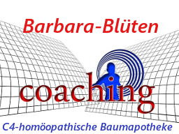 Webinar: Einzel-Coaching