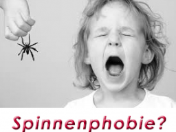 Webinar: JETZT Phobie-Panik-Angst nachhaltig lösen! Für Dich und andere
