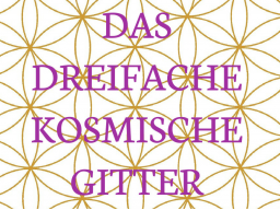 Webinar: "DAS DREIFACHE KOSMISCHE GITTER" Trainer: Saint von Lux